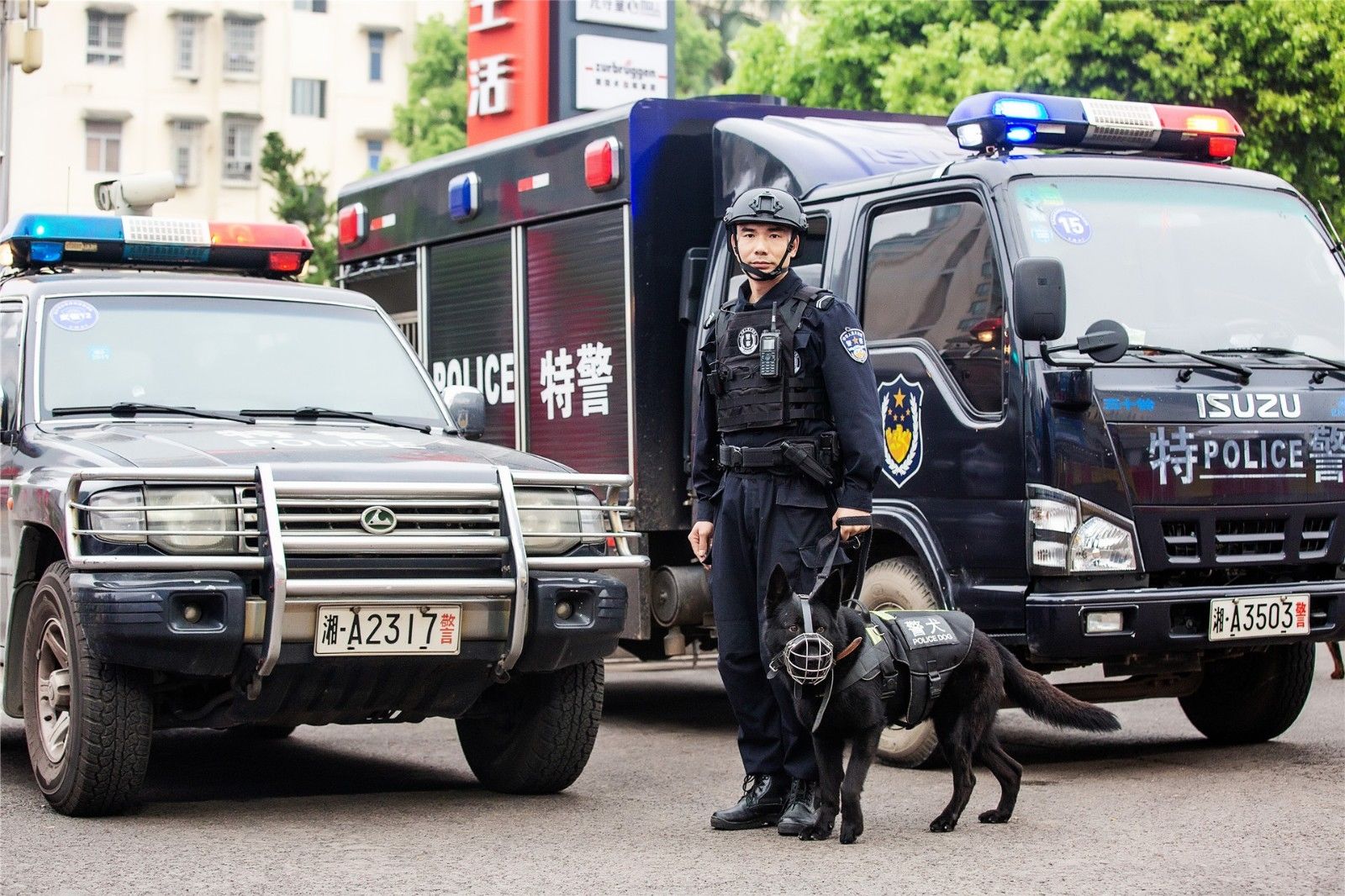 开云网页版登录入口