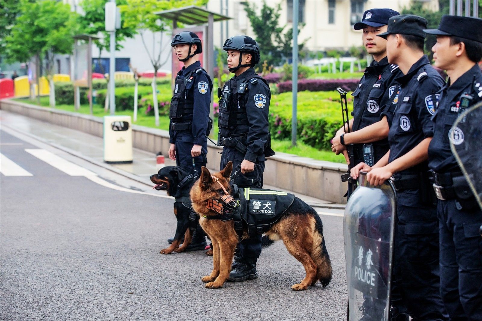 开云网页版登录入口
