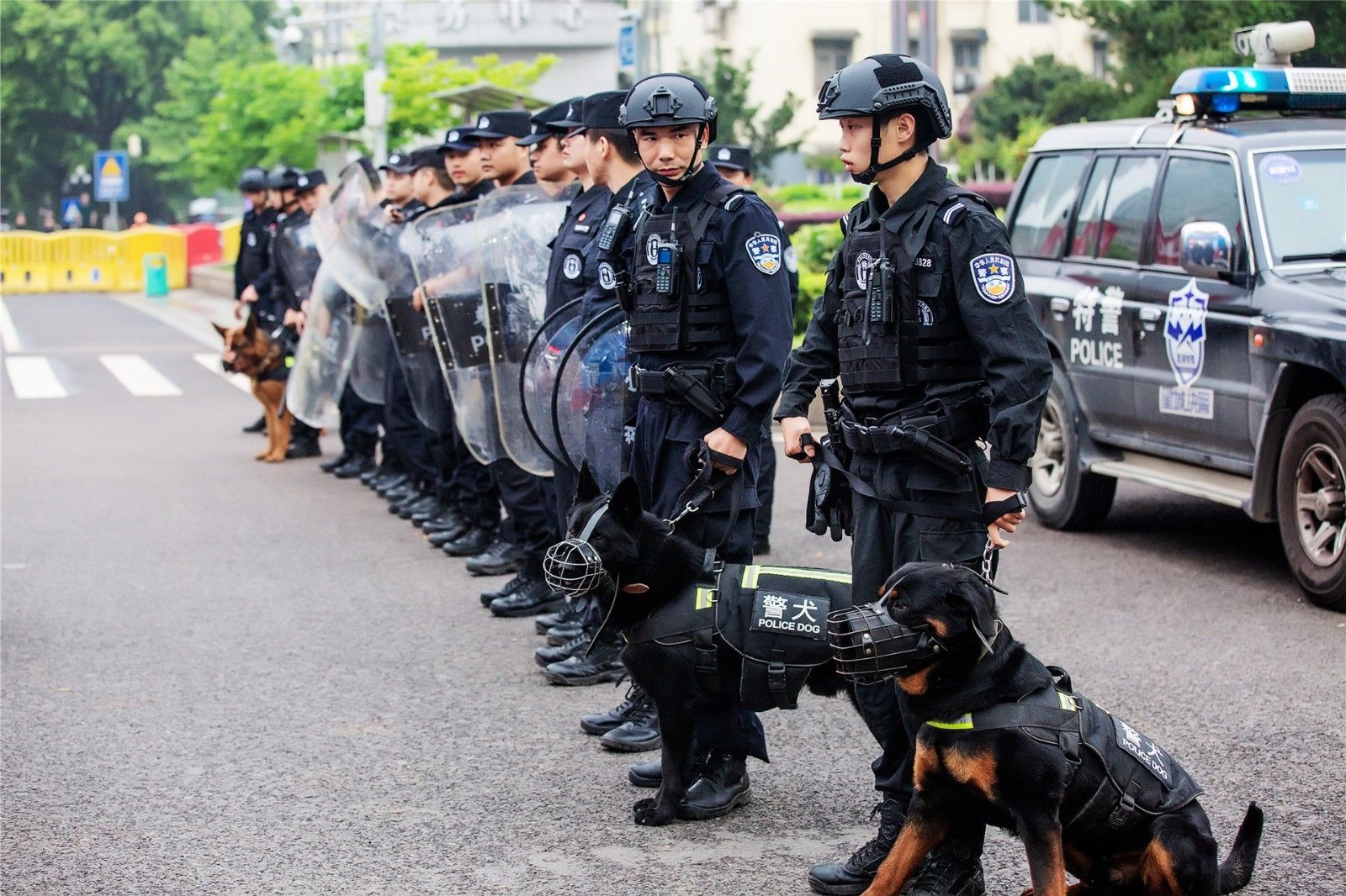 开云网页版登录入口