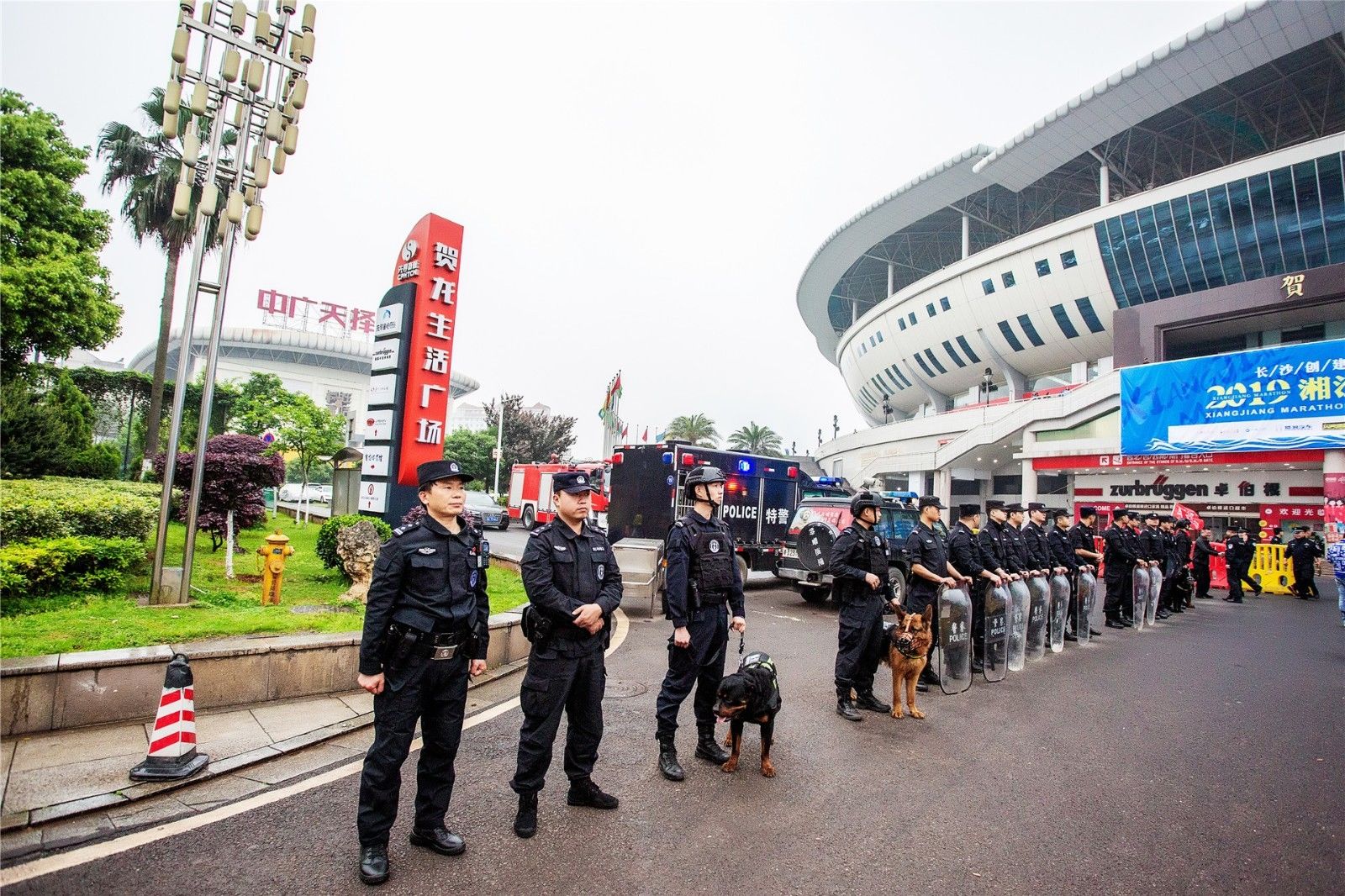 开云网页版登录入口