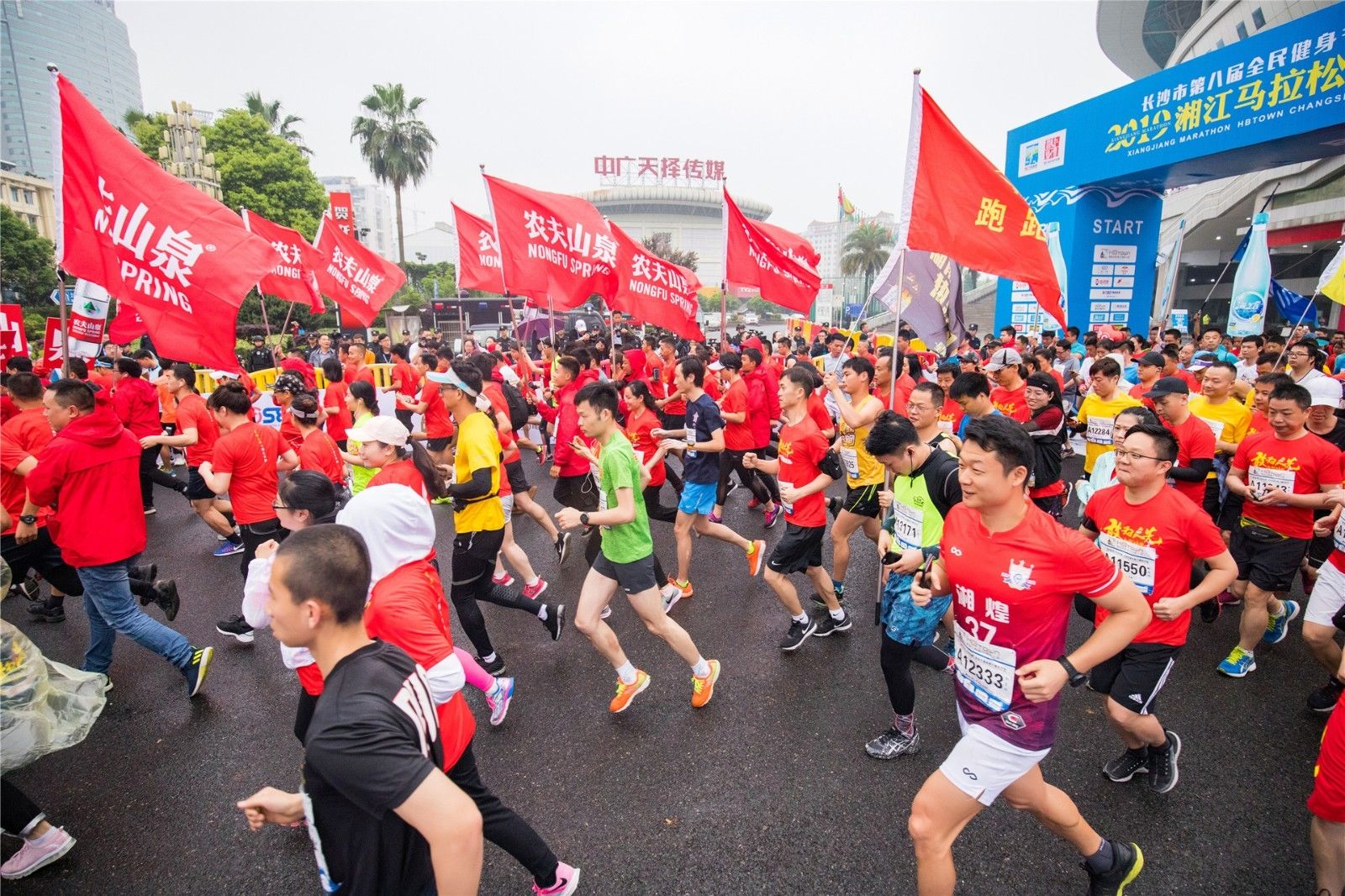 开云网页版登录入口