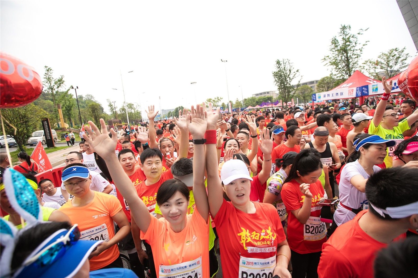 开云网页版登录入口