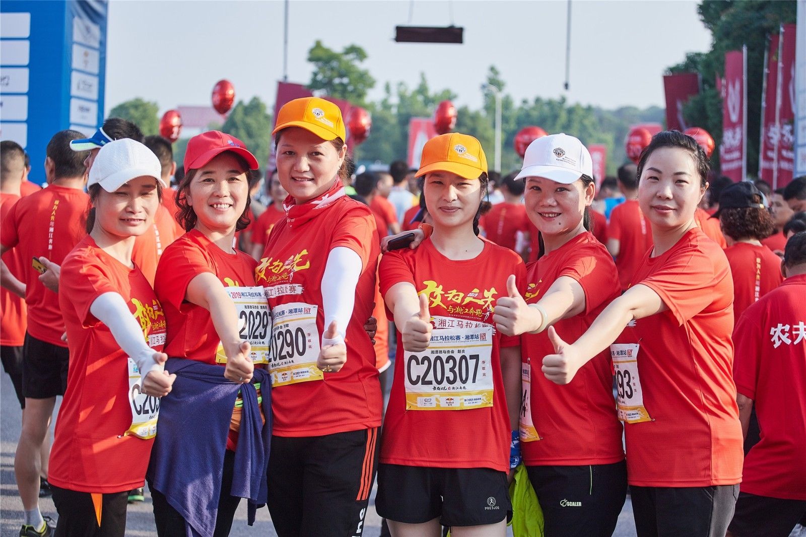 开云网页版登录入口