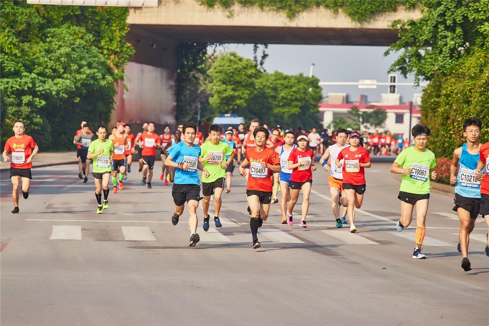 开云网页版登录入口
