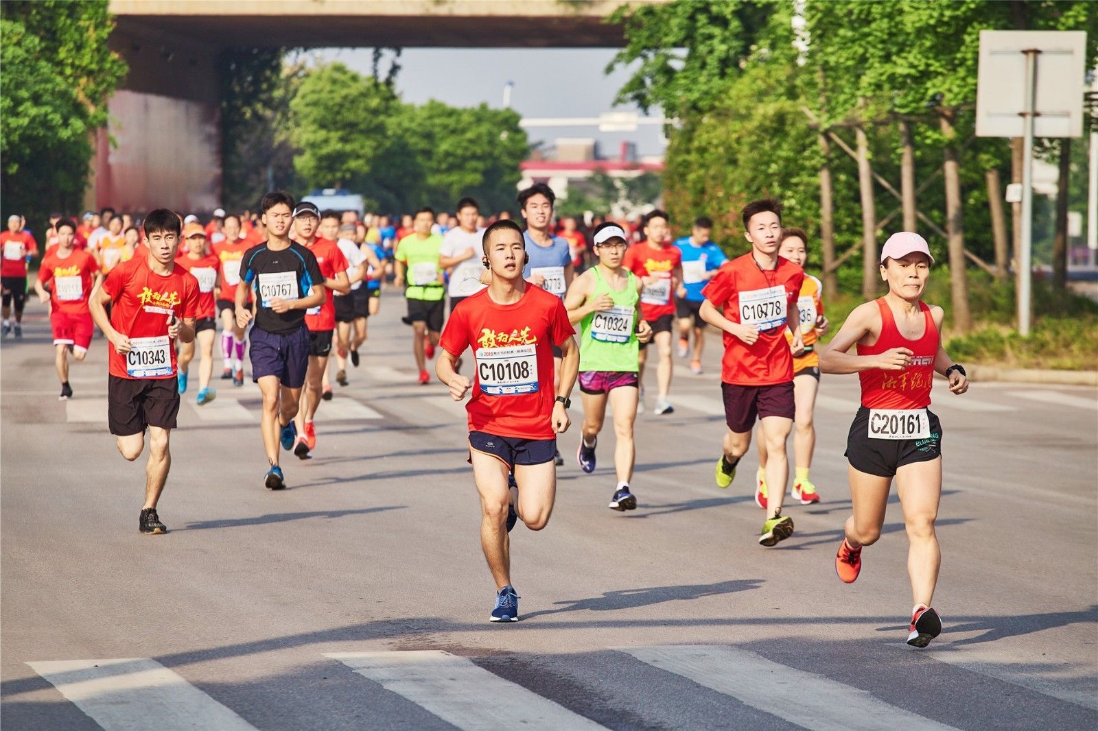 开云网页版登录入口