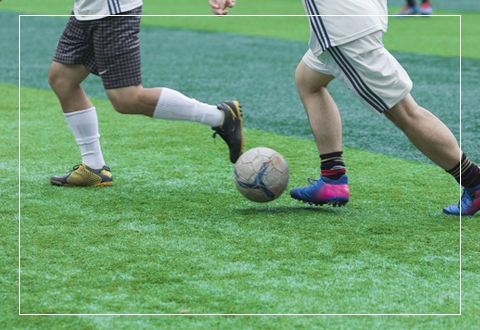 开云网页版登录入口