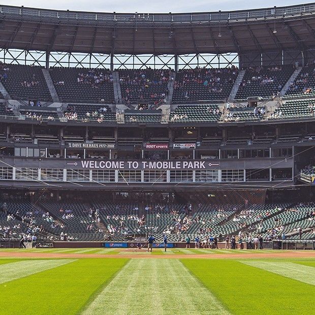 开云网页版登录入口