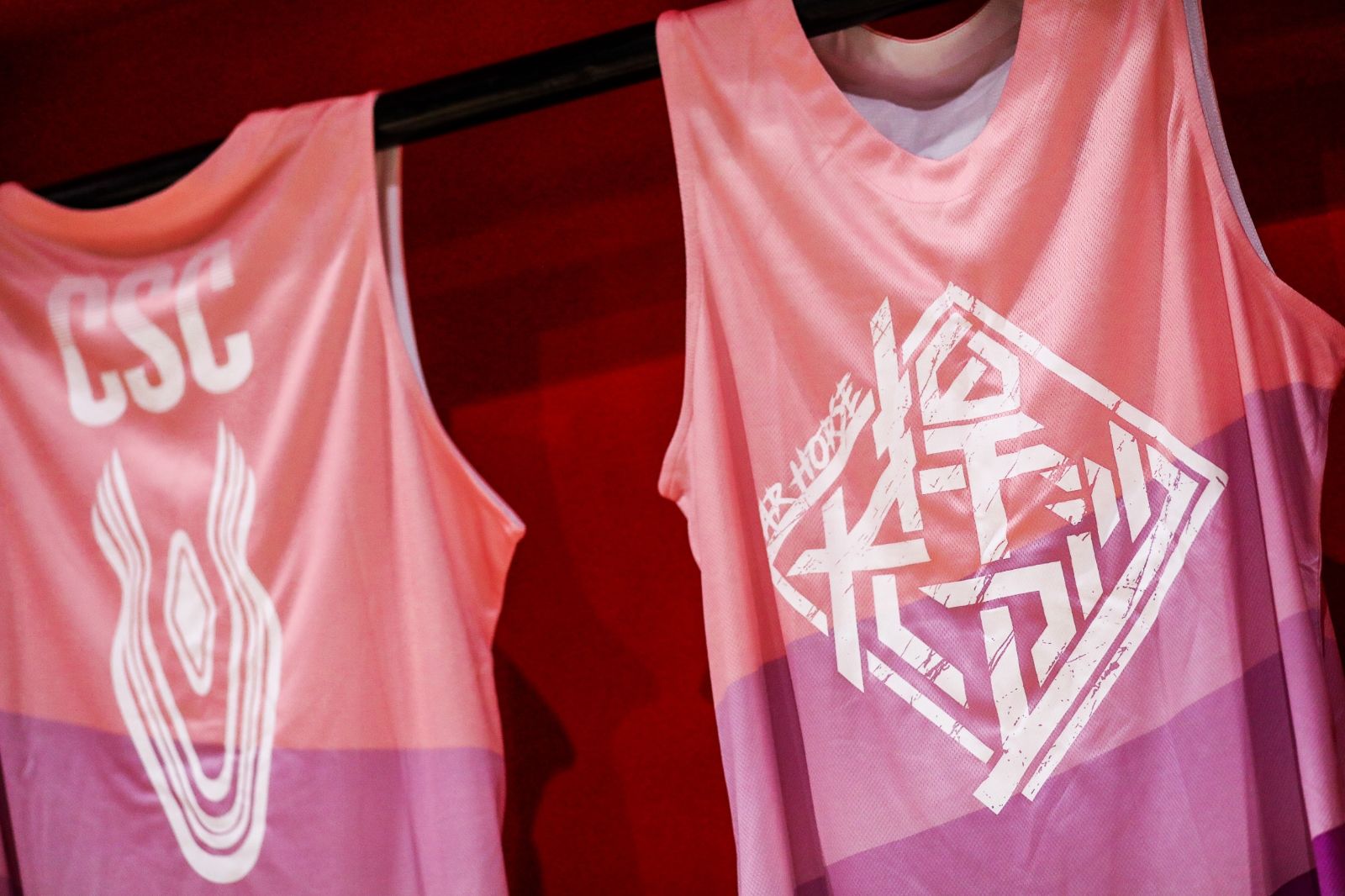 开云网页版登录入口