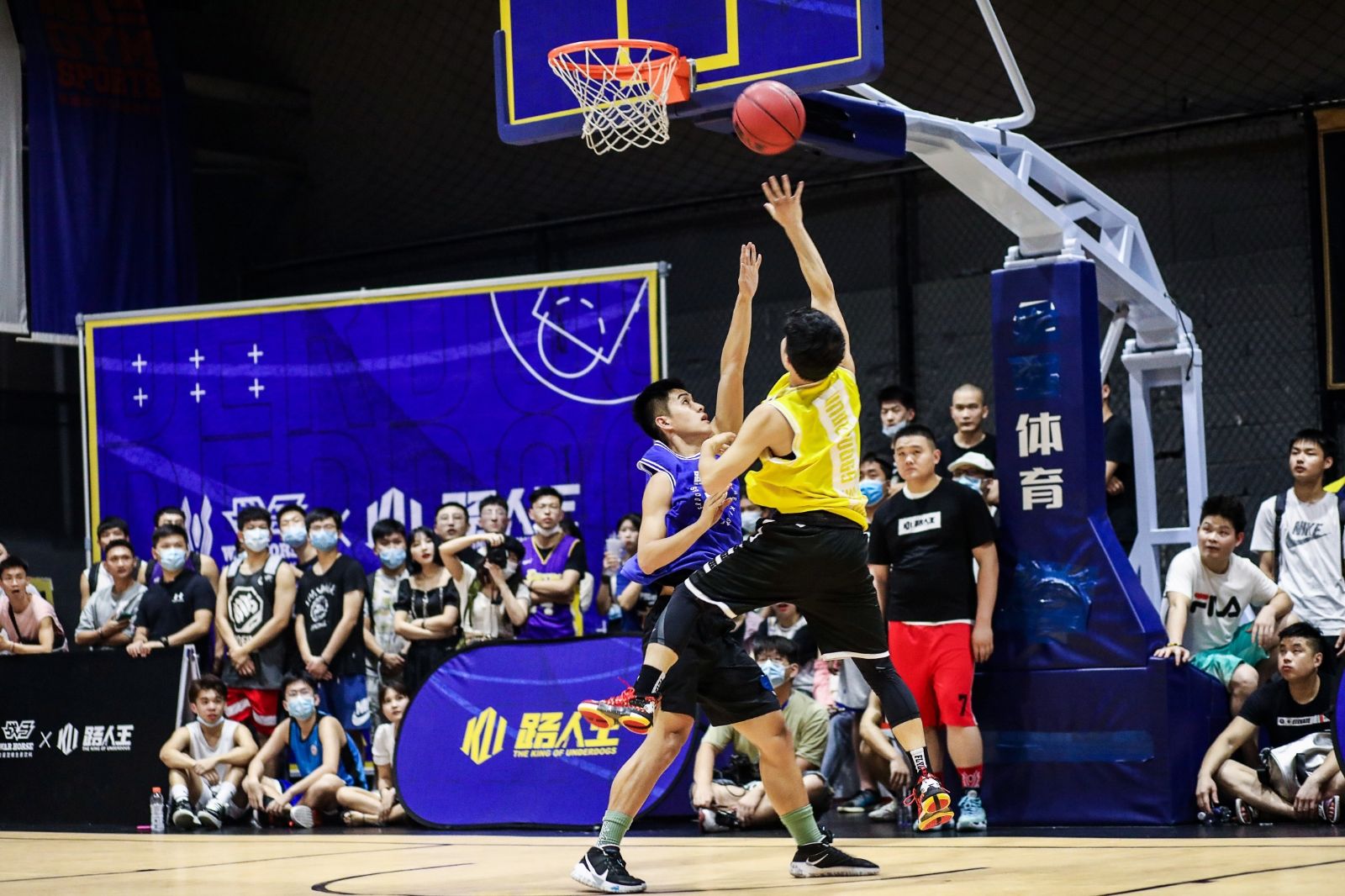 开云网页版登录入口