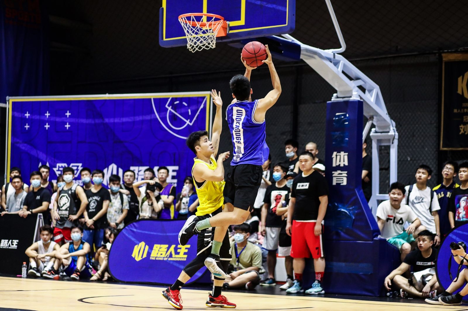 开云网页版登录入口