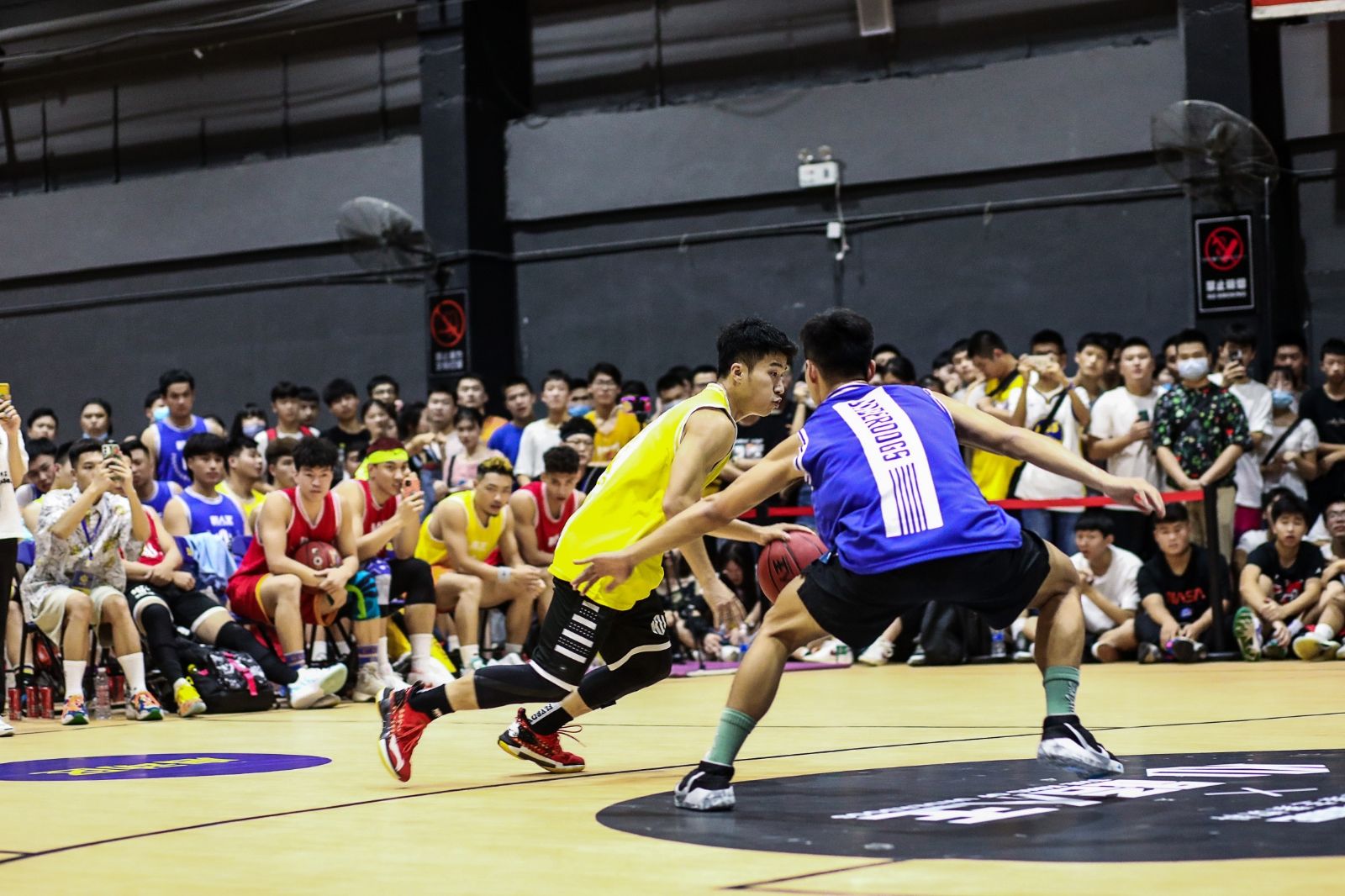 开云网页版登录入口