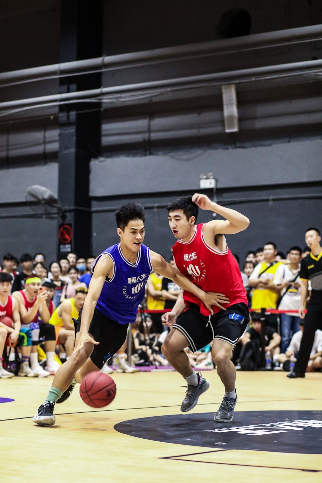 开云网页版登录入口