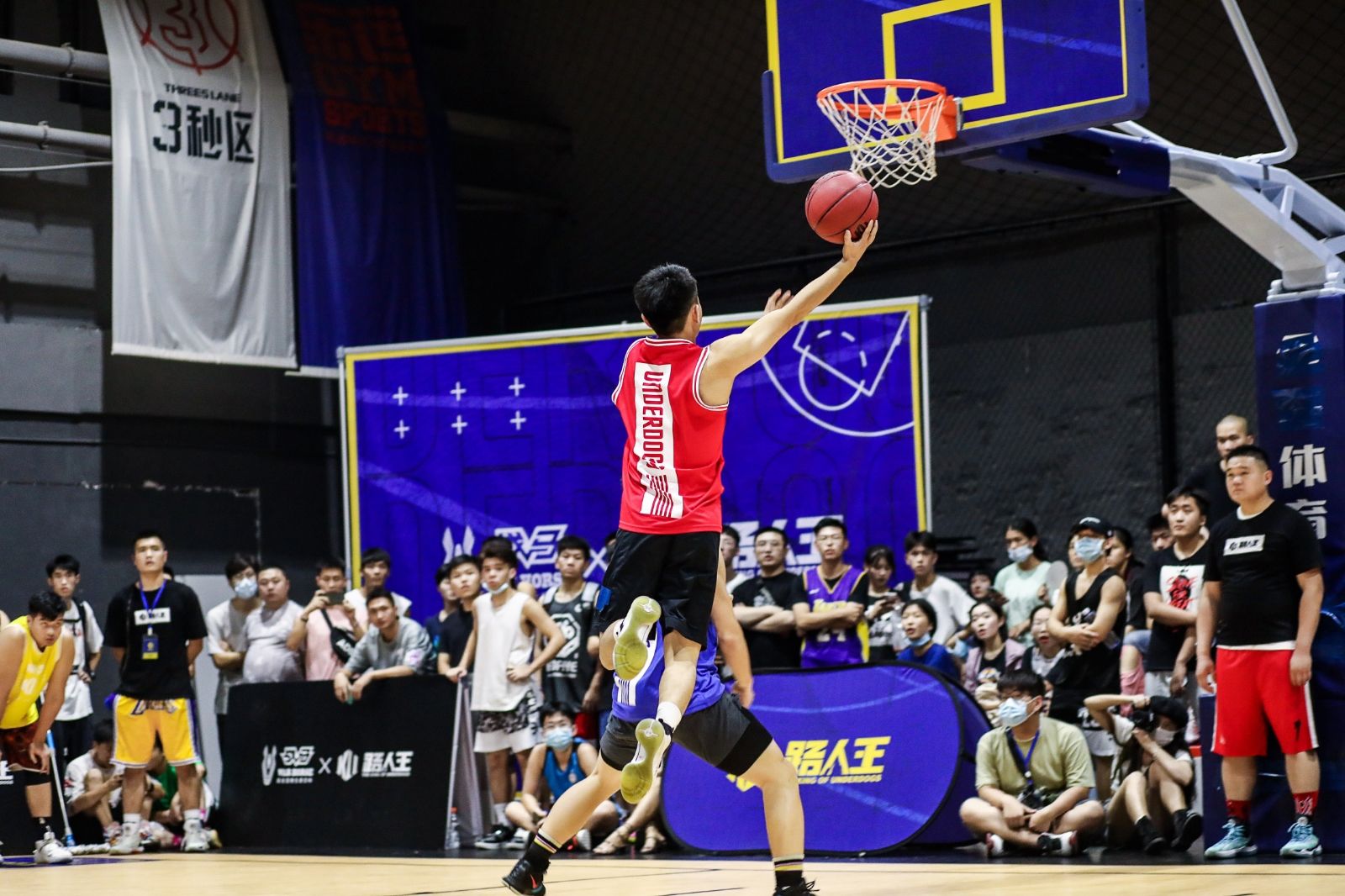 开云网页版登录入口