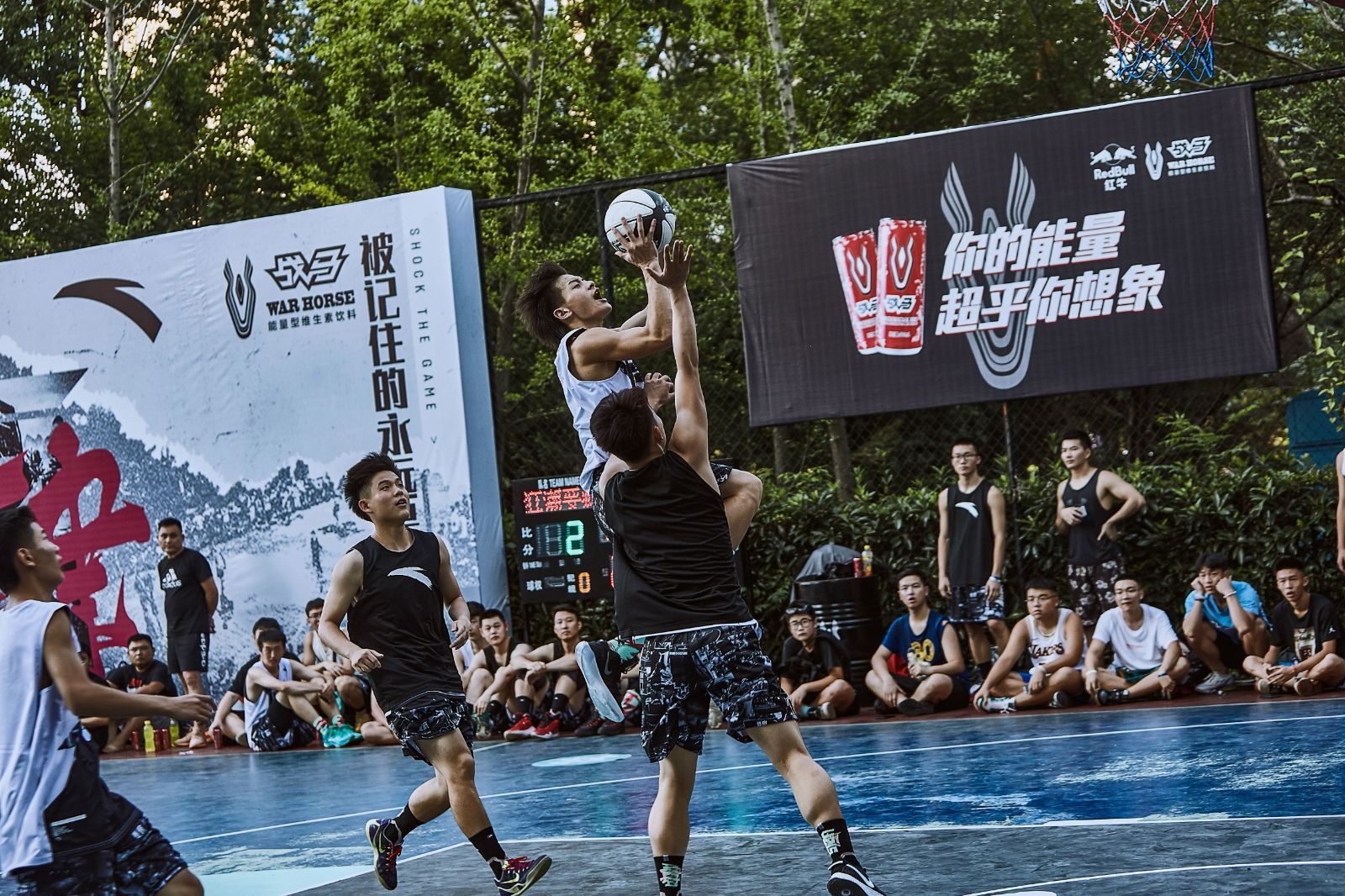 开云网页版登录入口