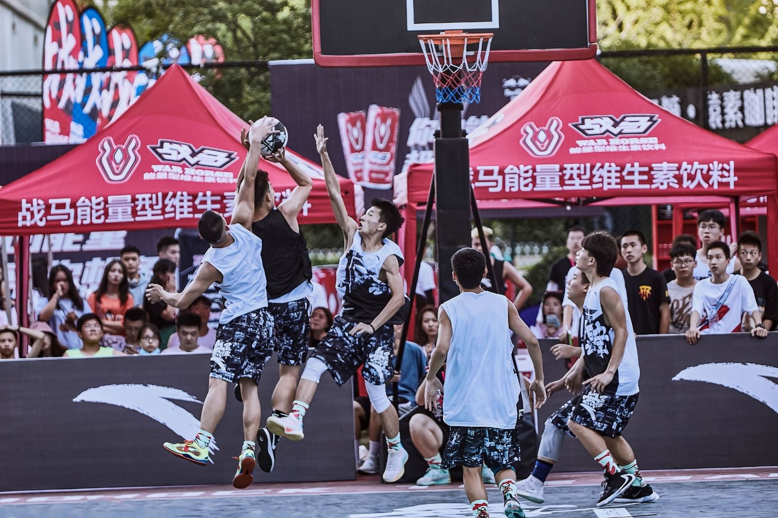 开云网页版登录入口