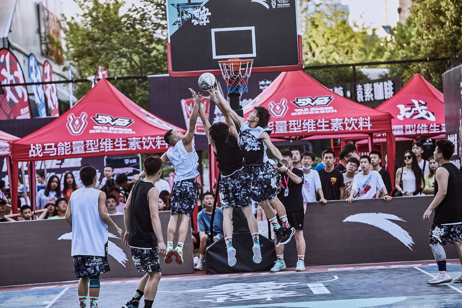 开云网页版登录入口