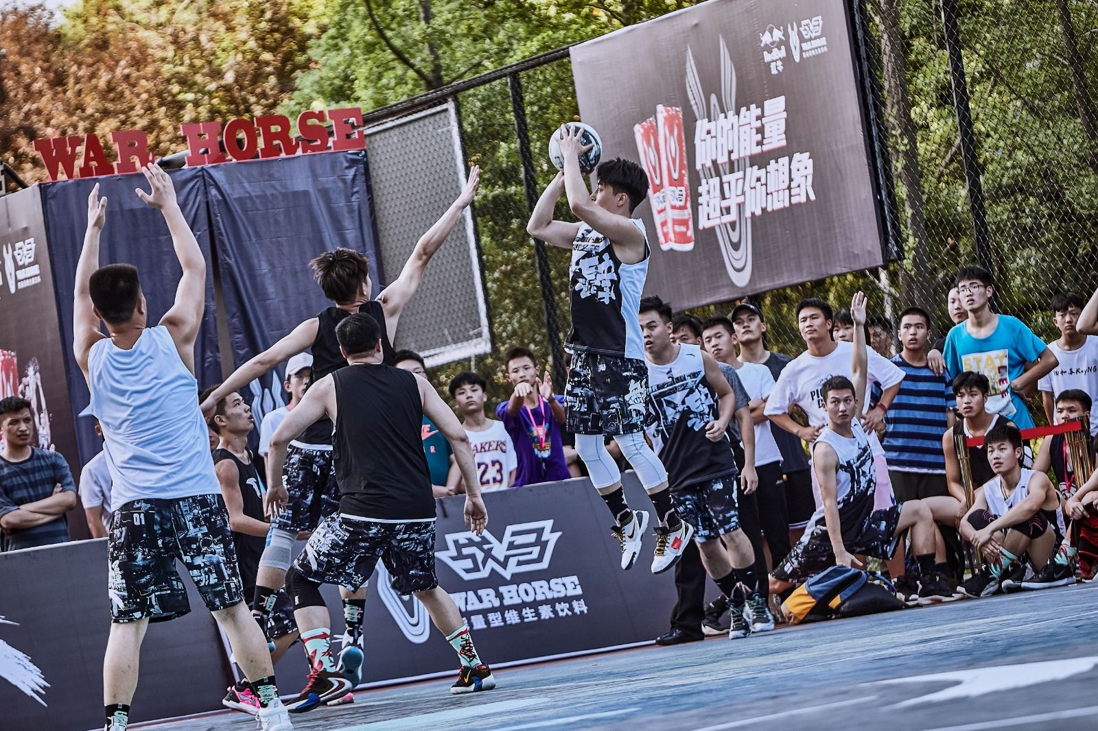 开云网页版登录入口