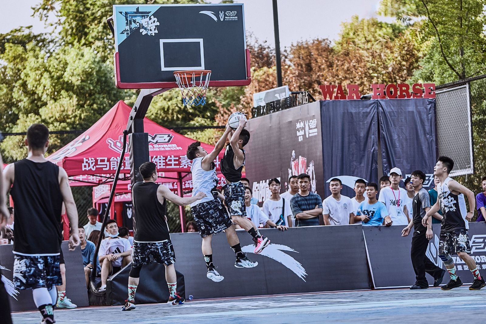 开云网页版登录入口