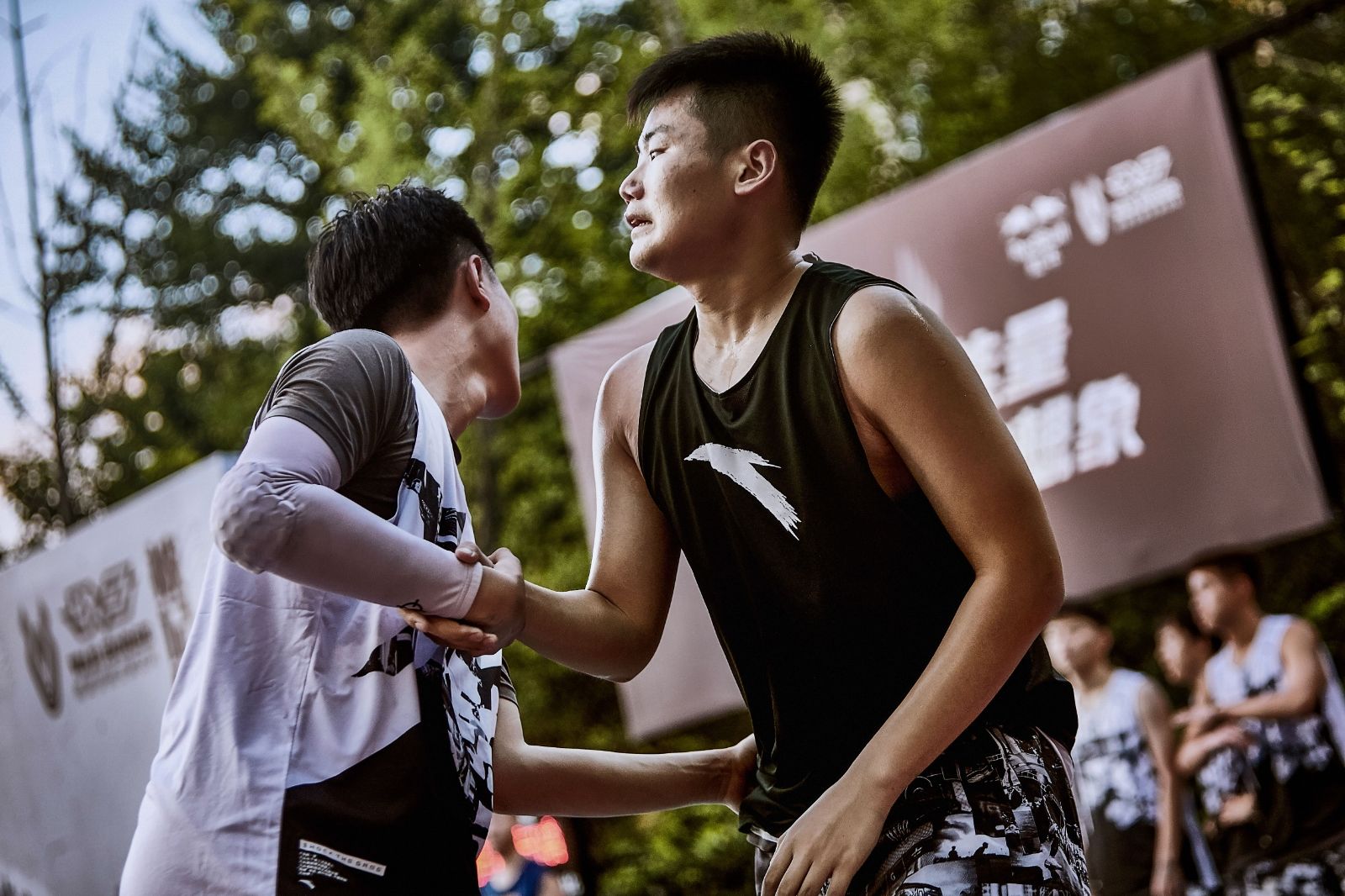 开云网页版登录入口