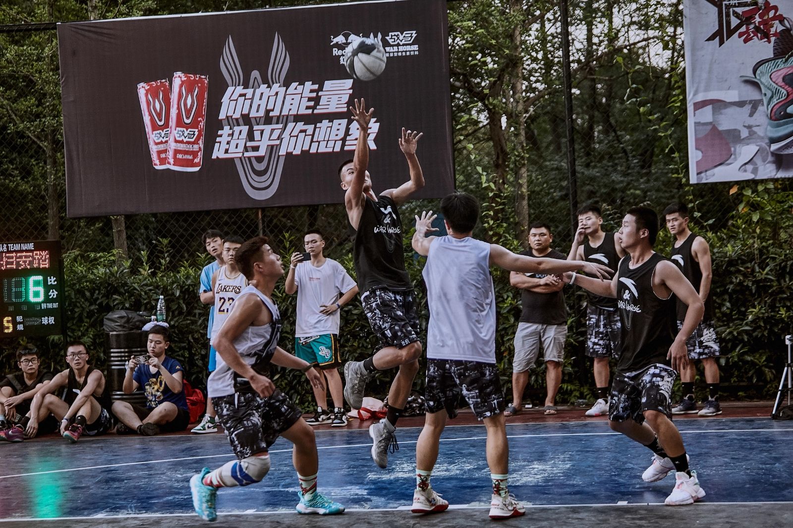 开云网页版登录入口