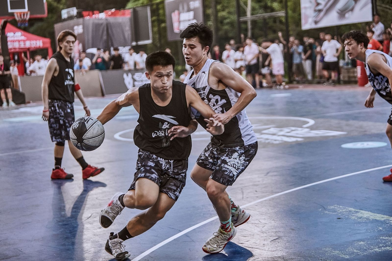 开云网页版登录入口