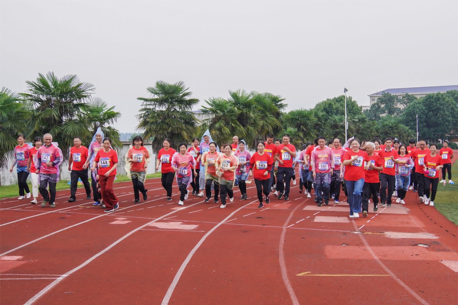 开云网页版登录入口