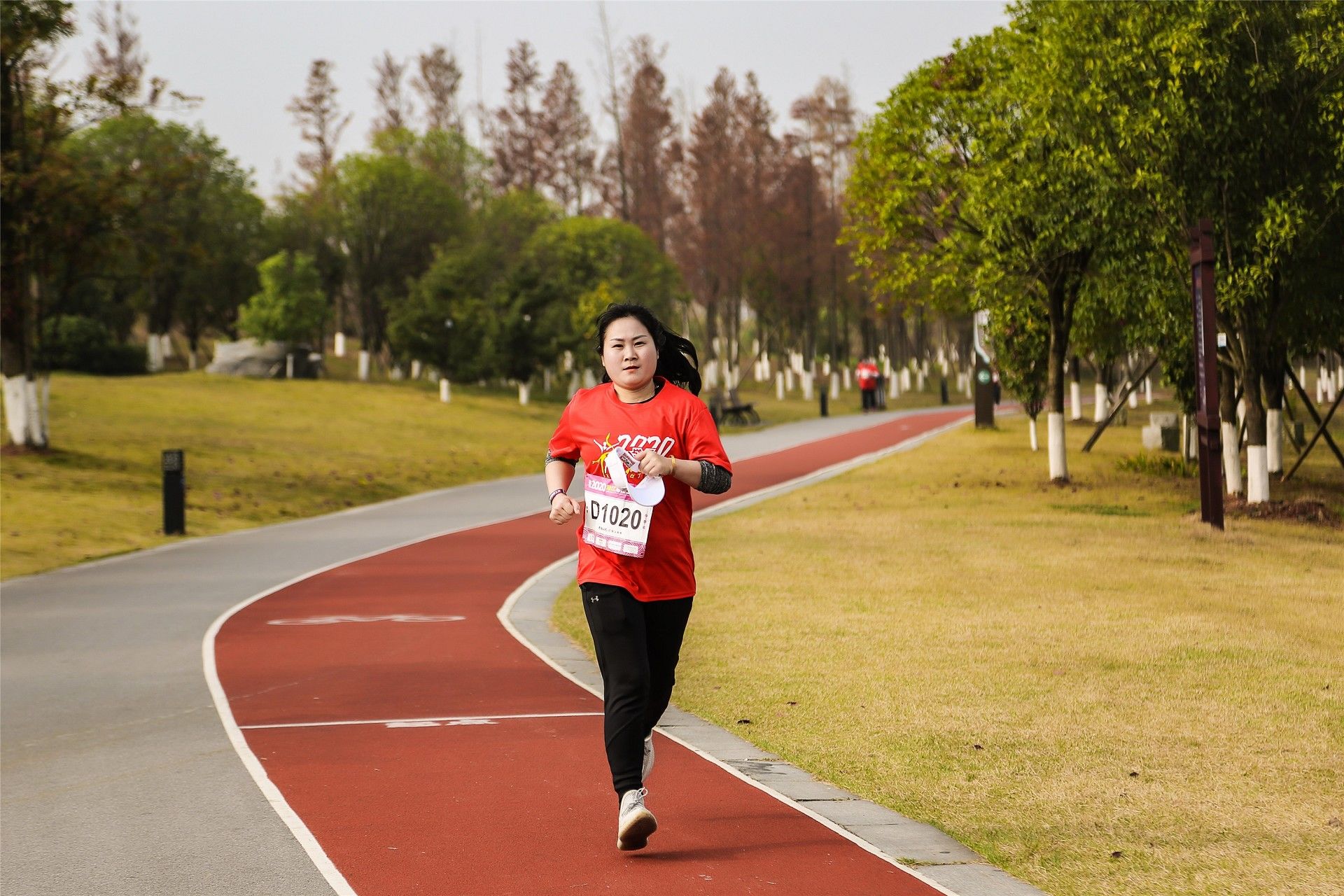 开云网页版登录入口