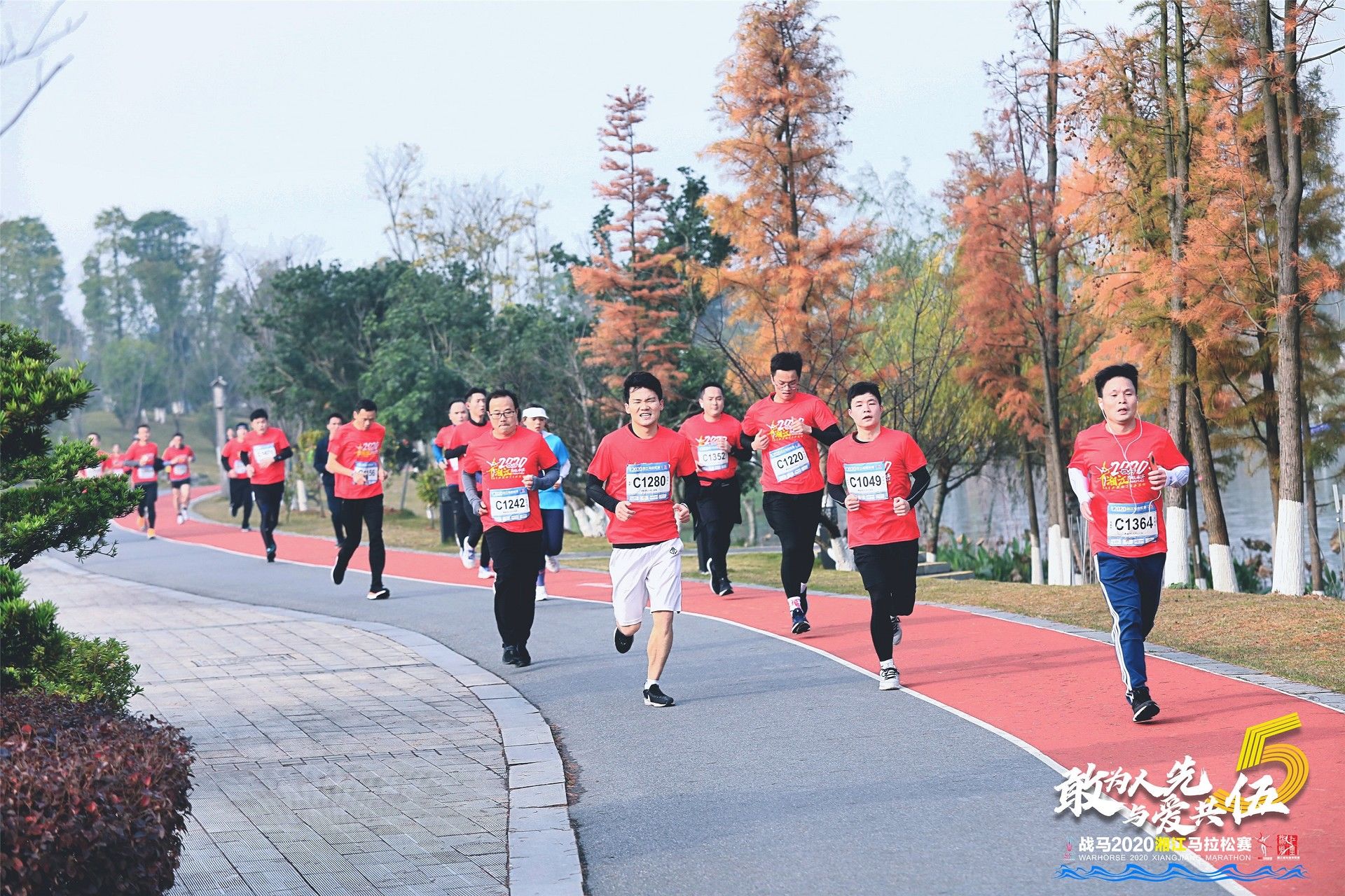 开云网页版登录入口