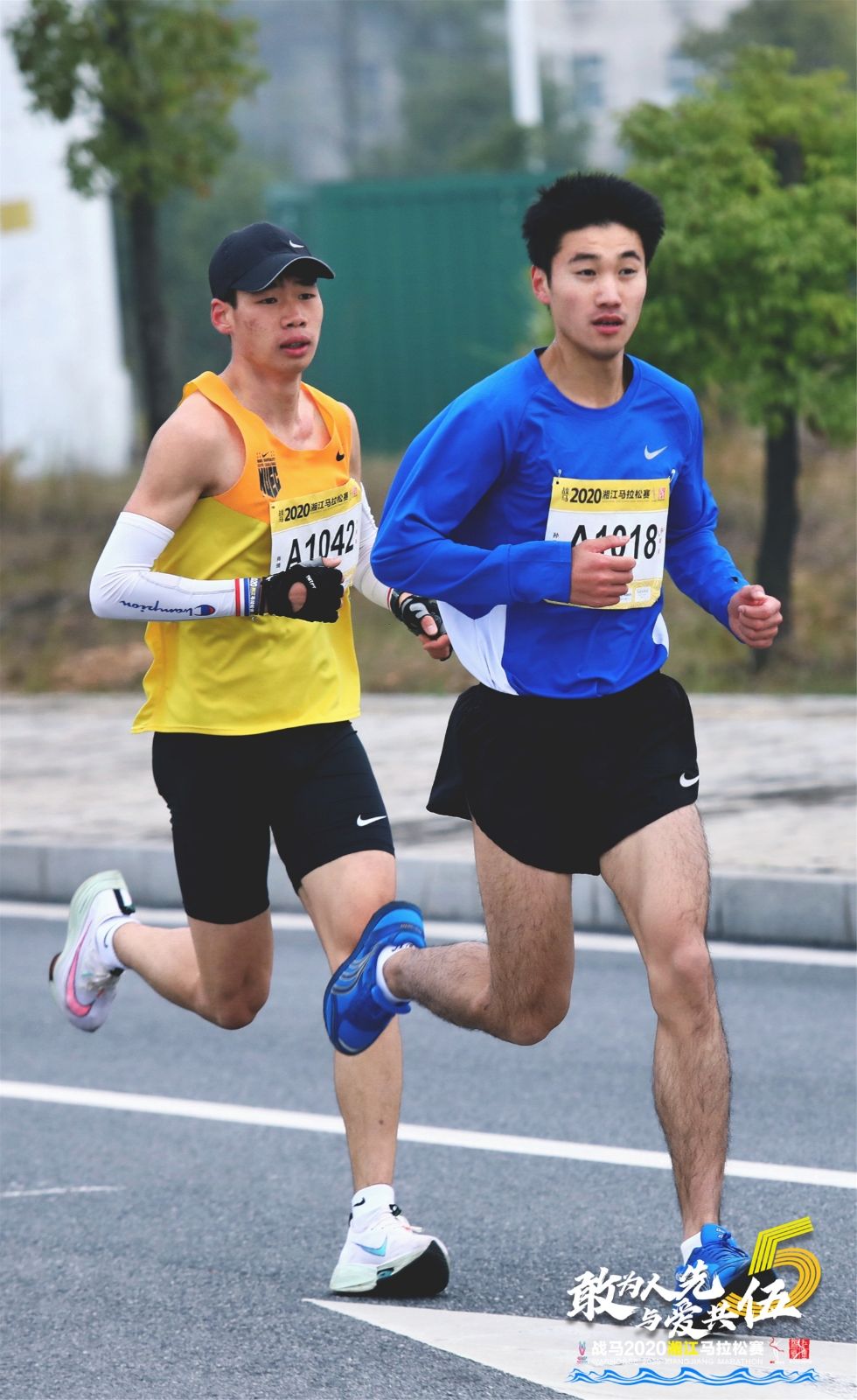 开云网页版登录入口