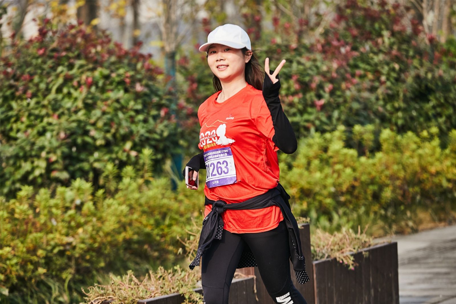 开云网页版登录入口