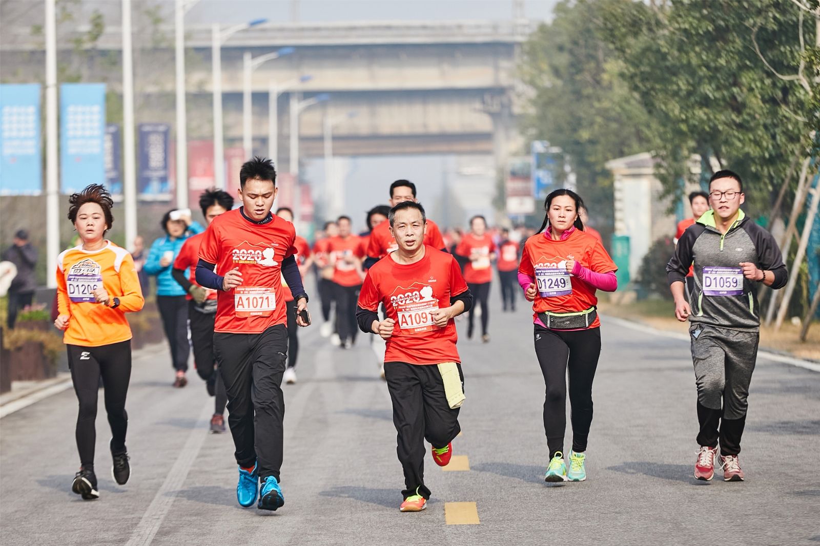 开云网页版登录入口