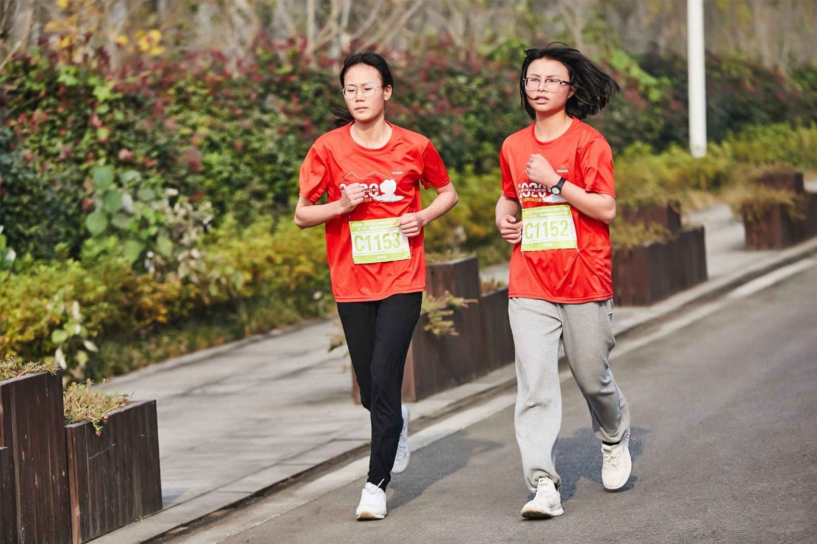 开云网页版登录入口