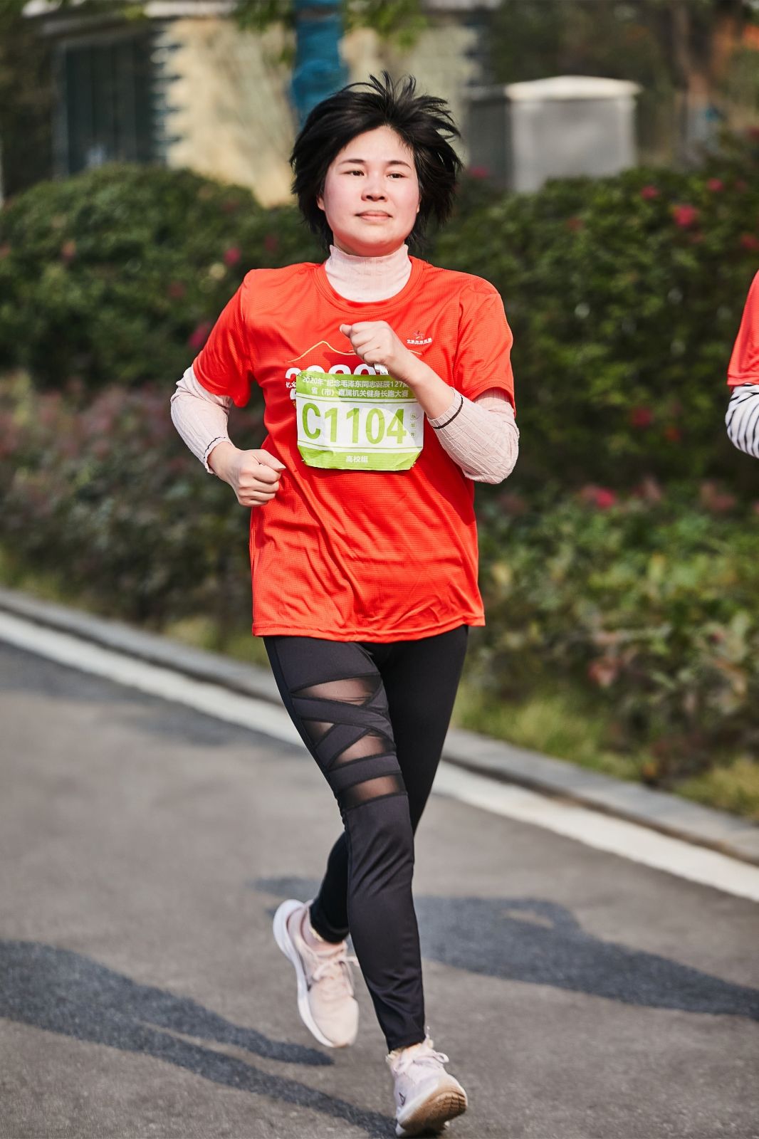 开云网页版登录入口