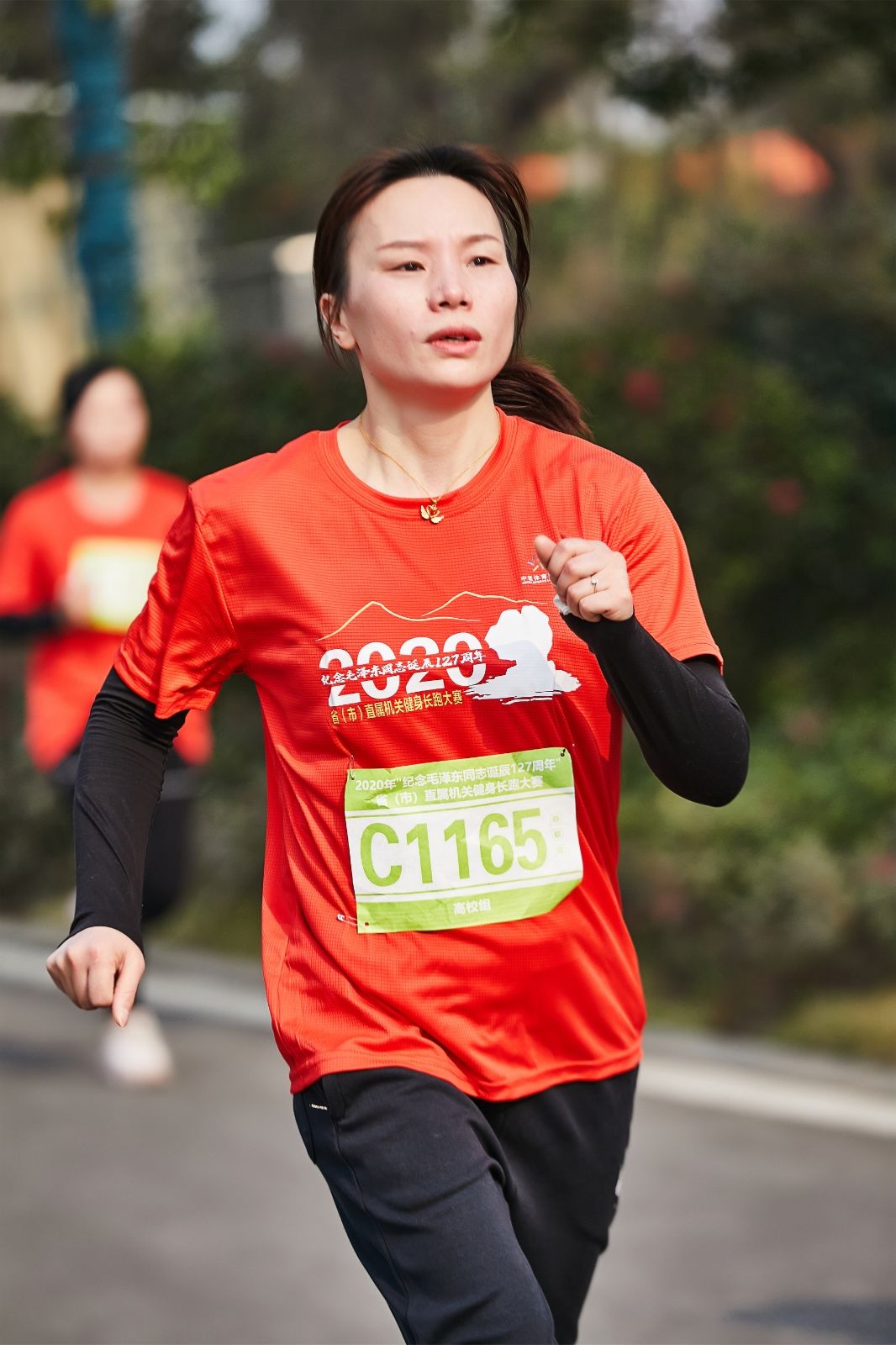 开云网页版登录入口