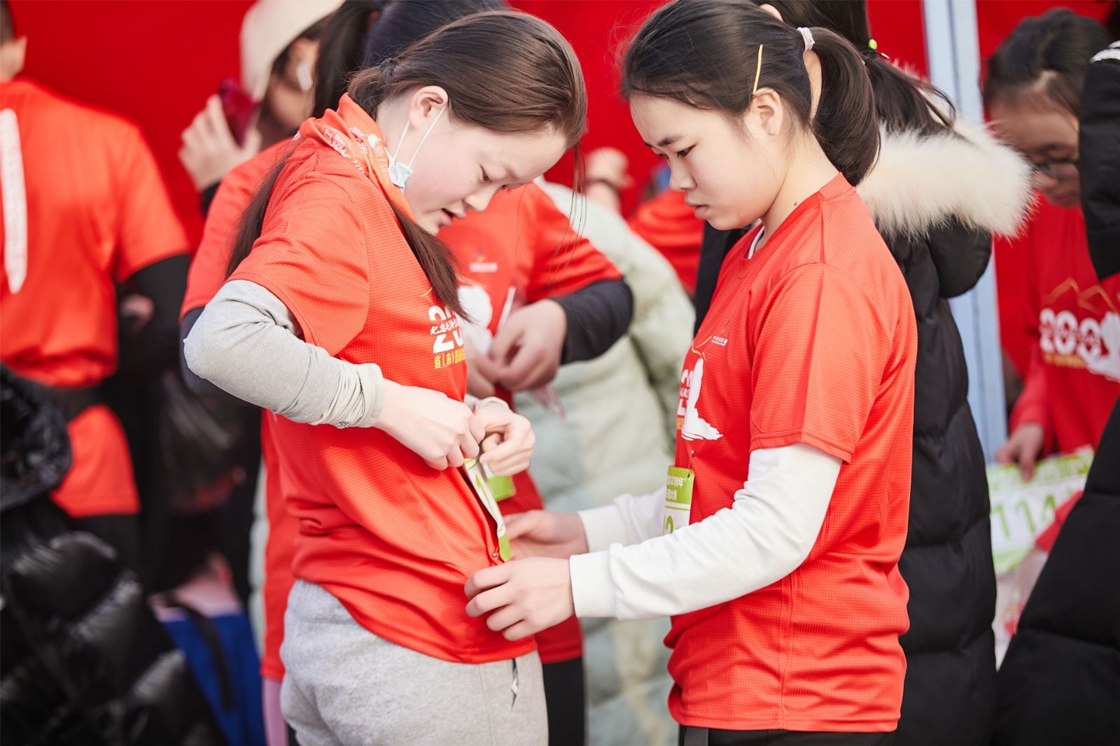 开云网页版登录入口