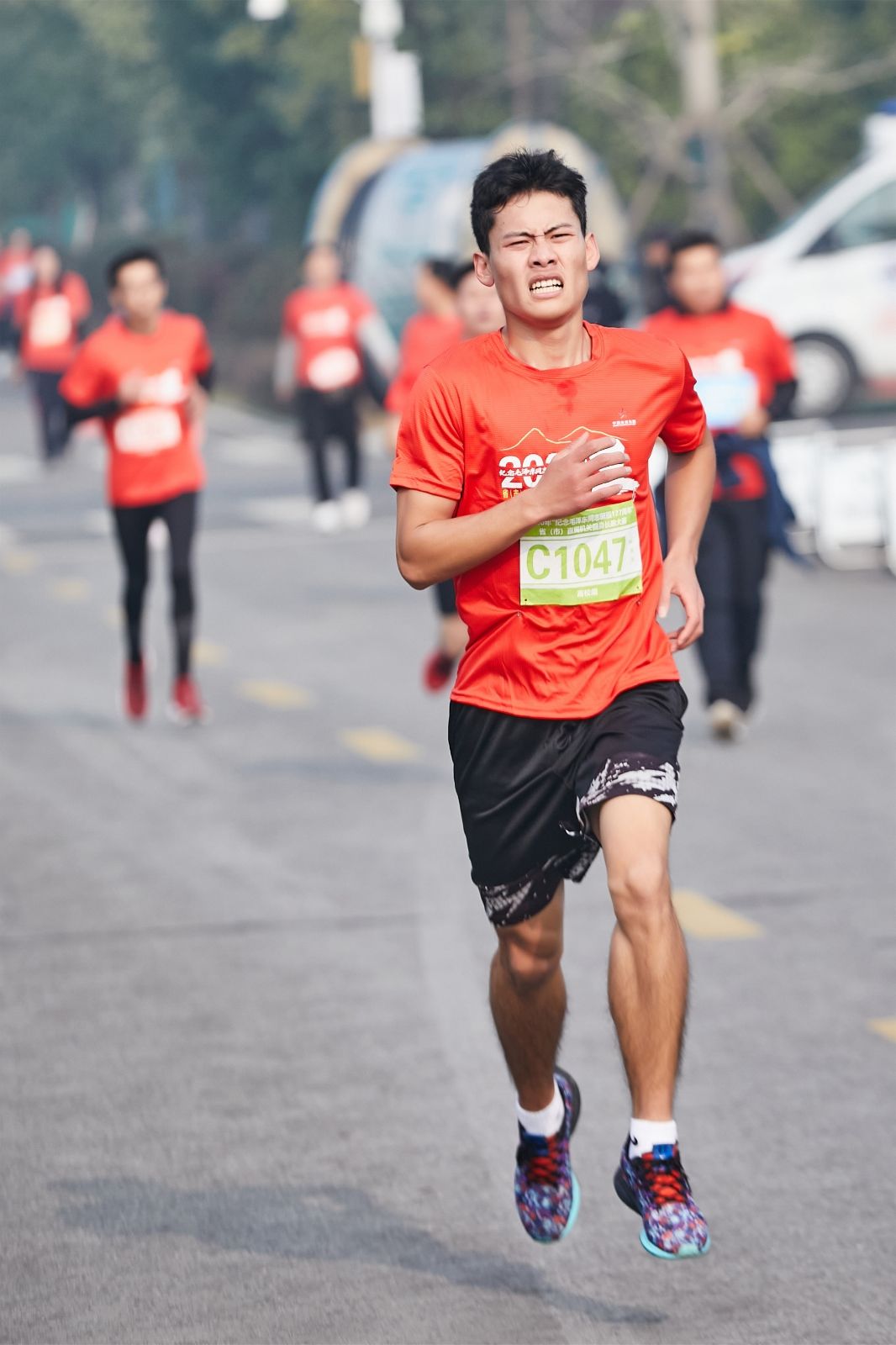 开云网页版登录入口