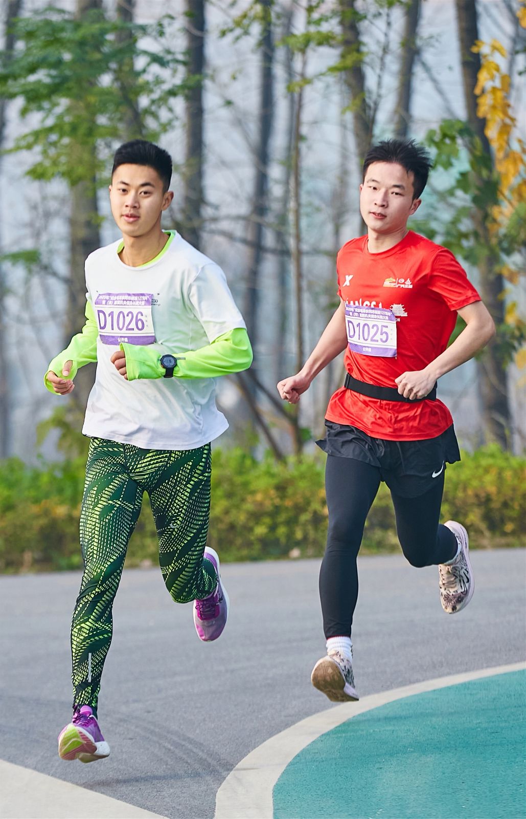 开云网页版登录入口