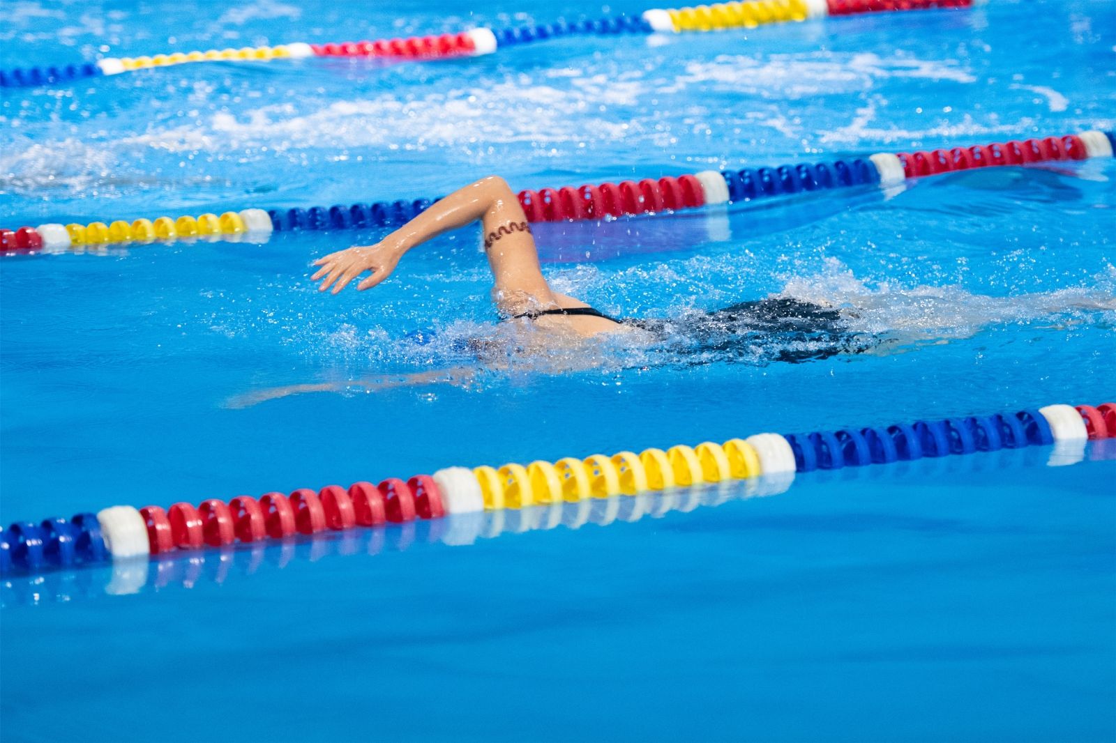 开云网页版登录入口