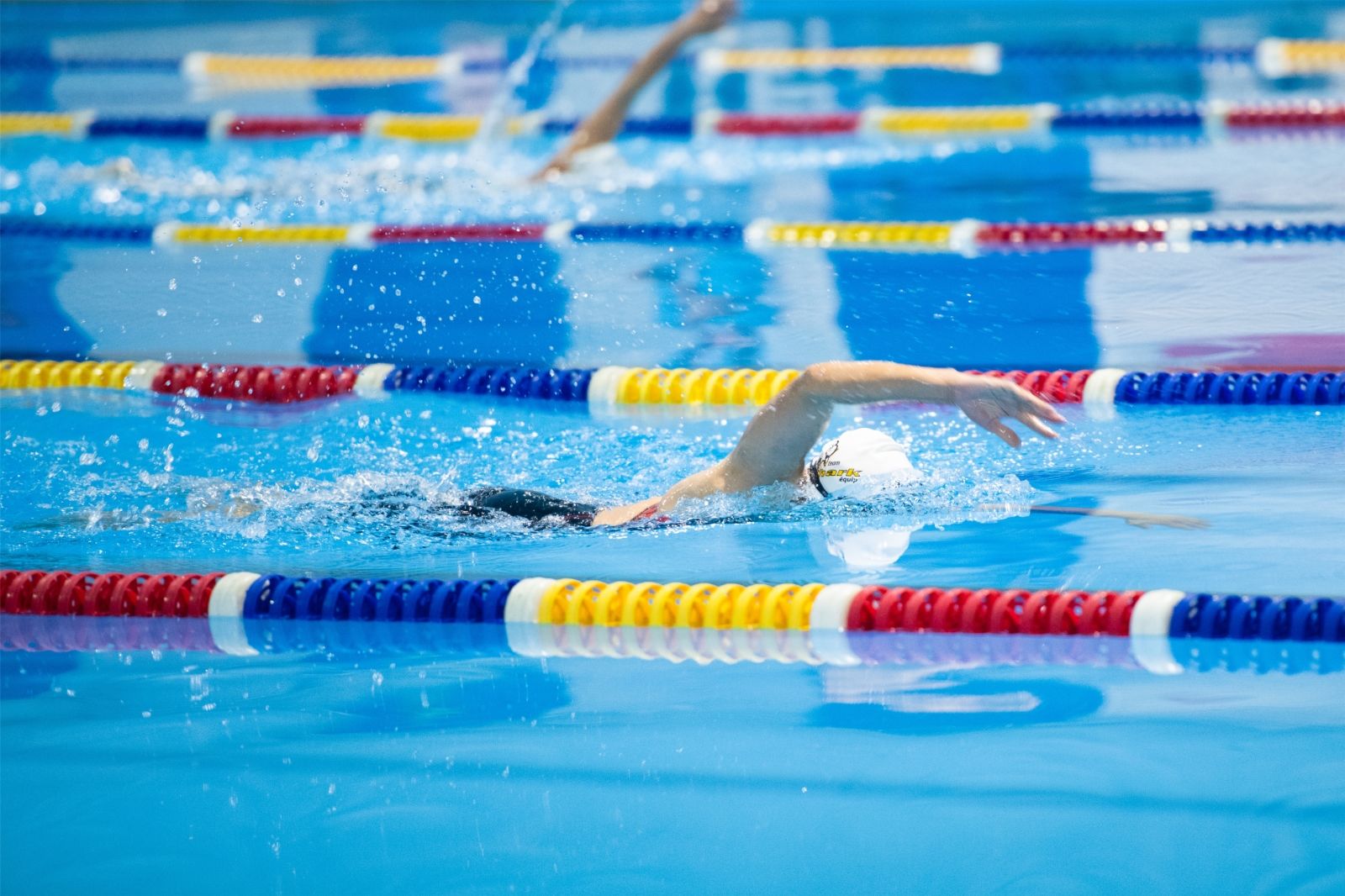 开云网页版登录入口