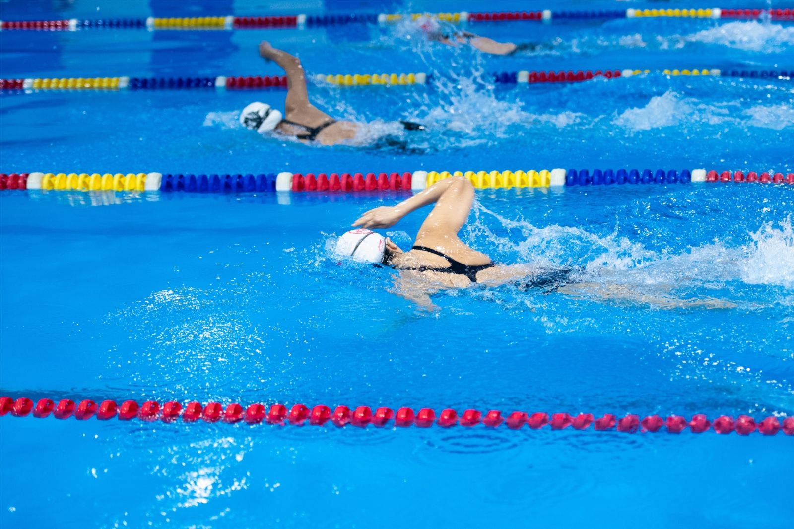 开云网页版登录入口