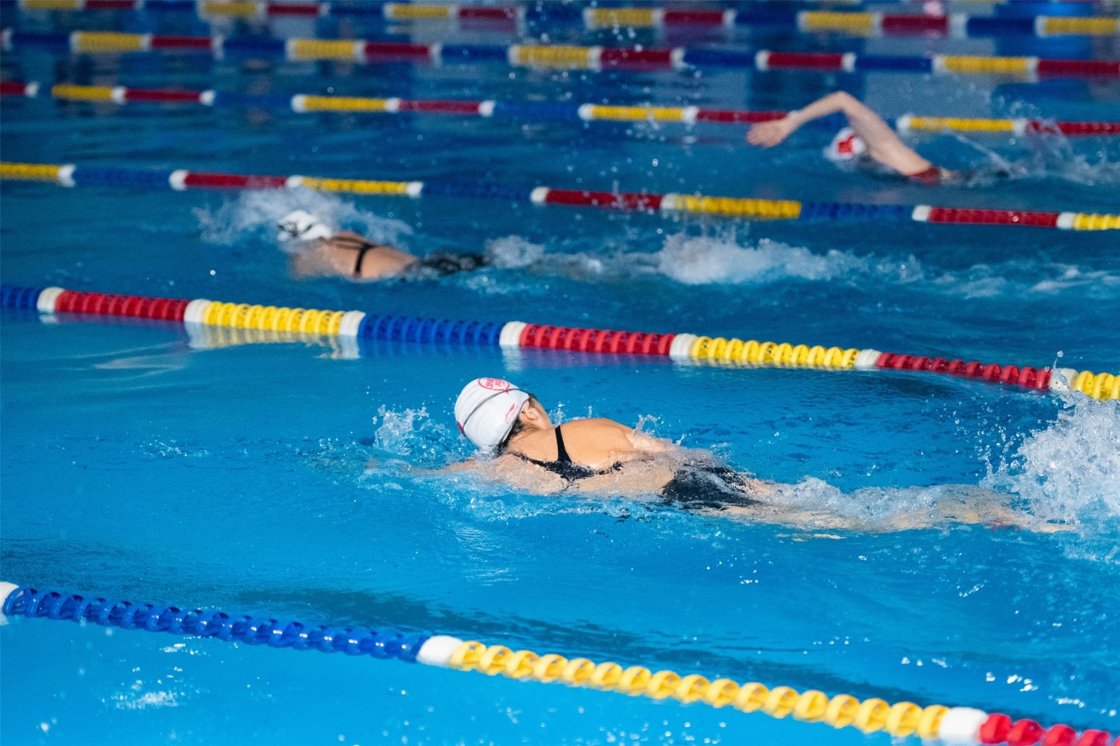 开云网页版登录入口