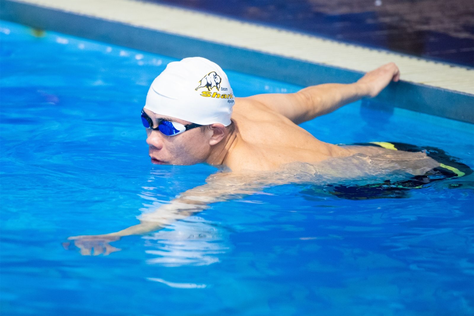 开云网页版登录入口