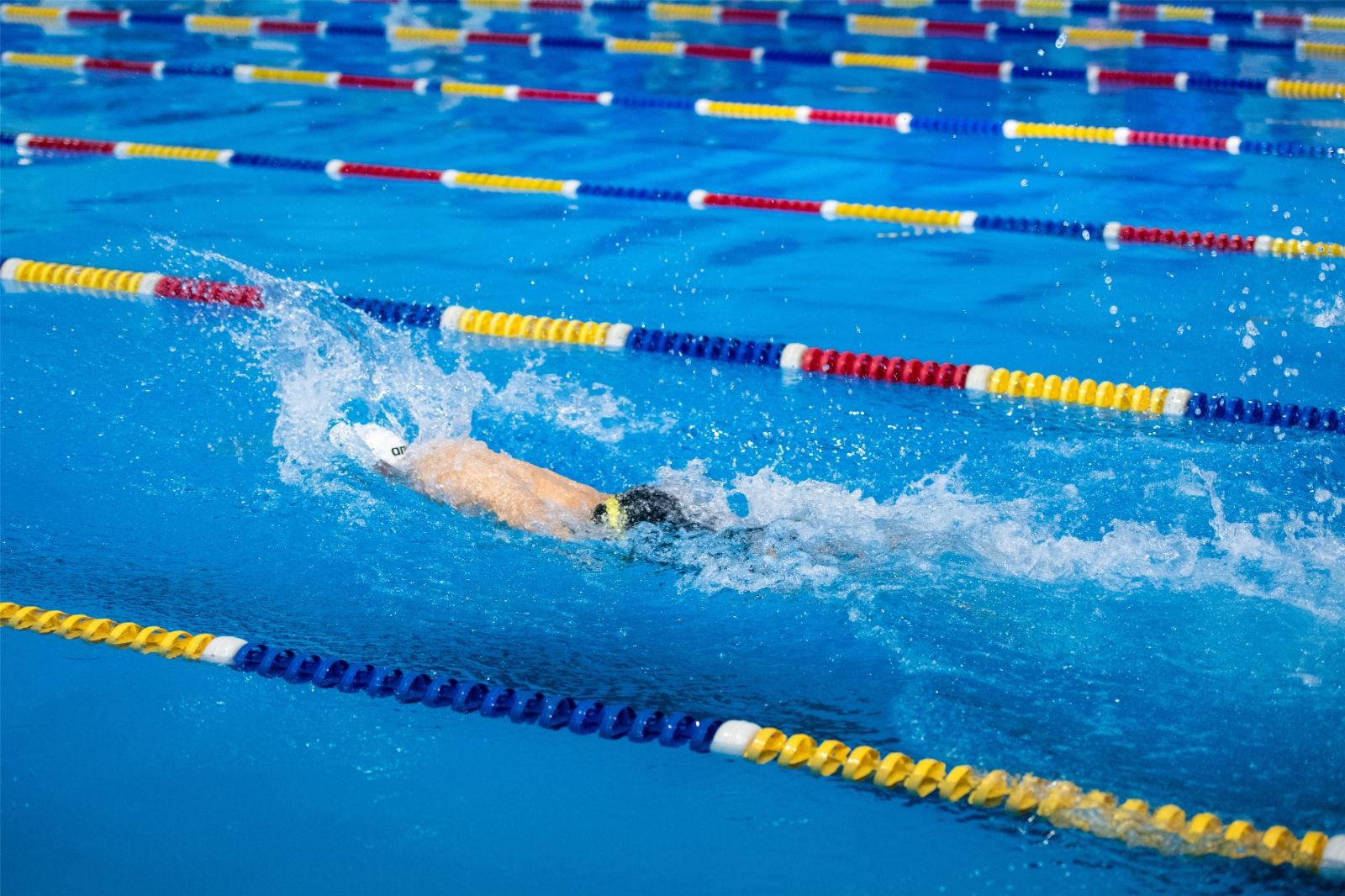 开云网页版登录入口