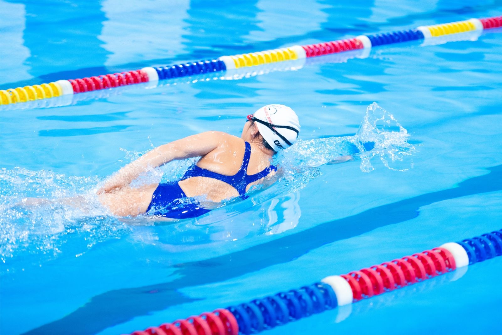 开云网页版登录入口