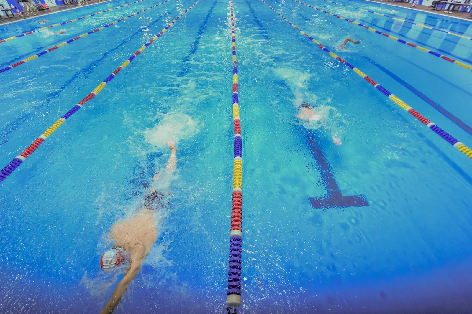 开云网页版登录入口