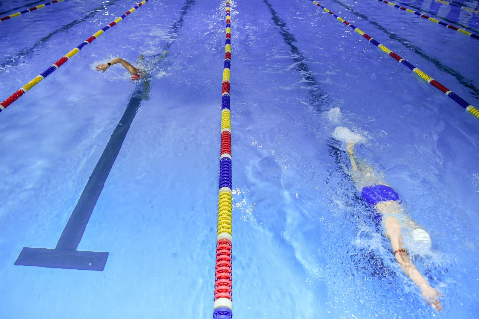 开云网页版登录入口