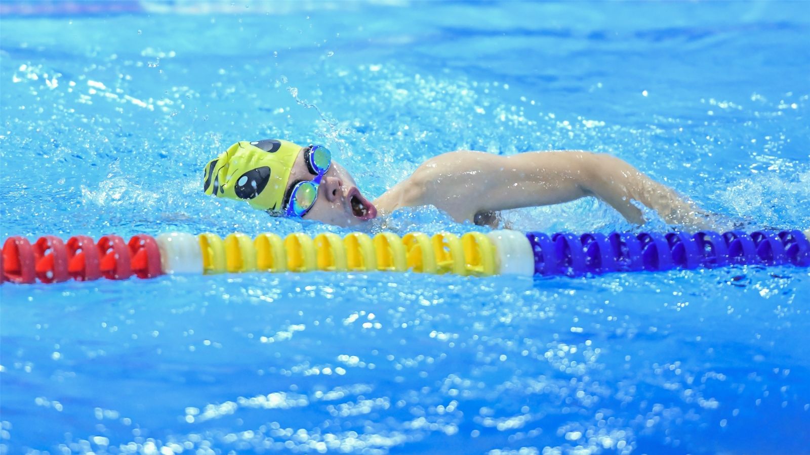 开云网页版登录入口