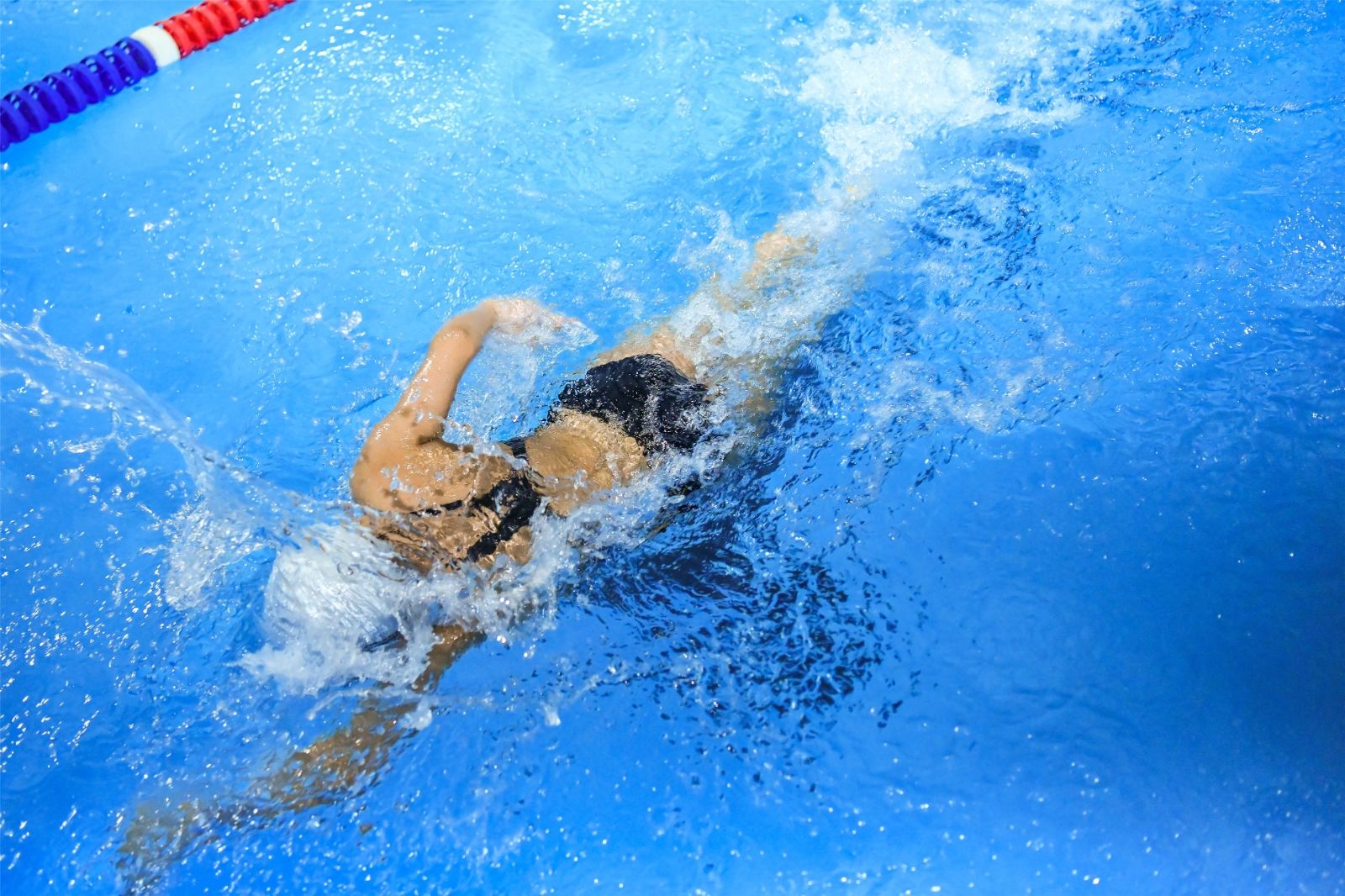 开云网页版登录入口