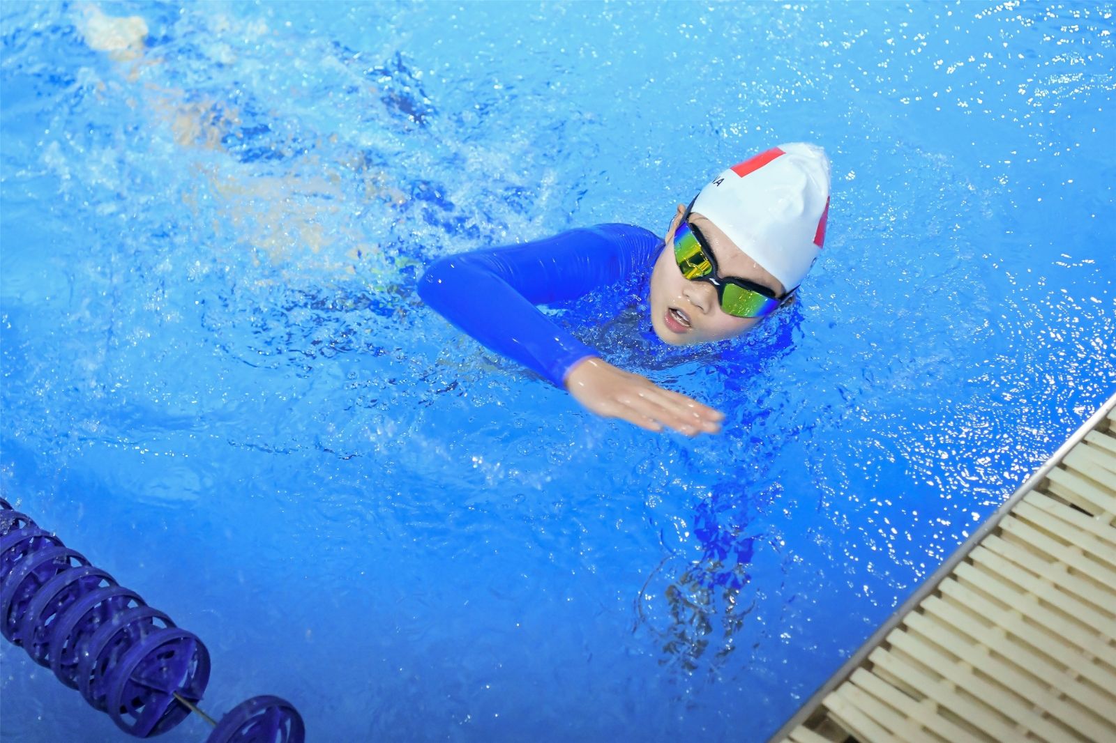 开云网页版登录入口