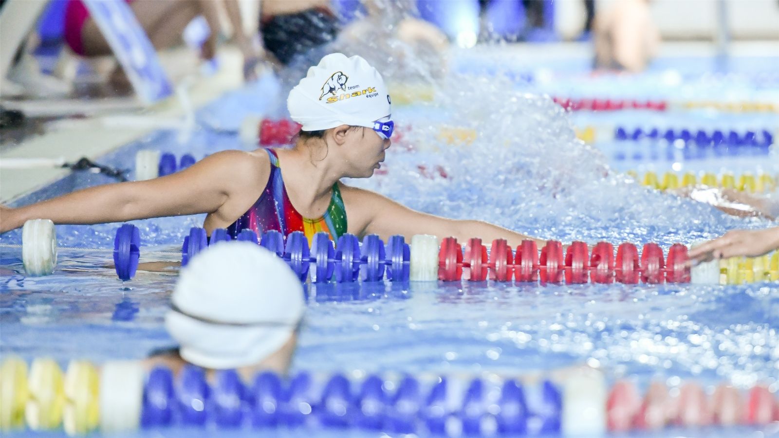 开云网页版登录入口